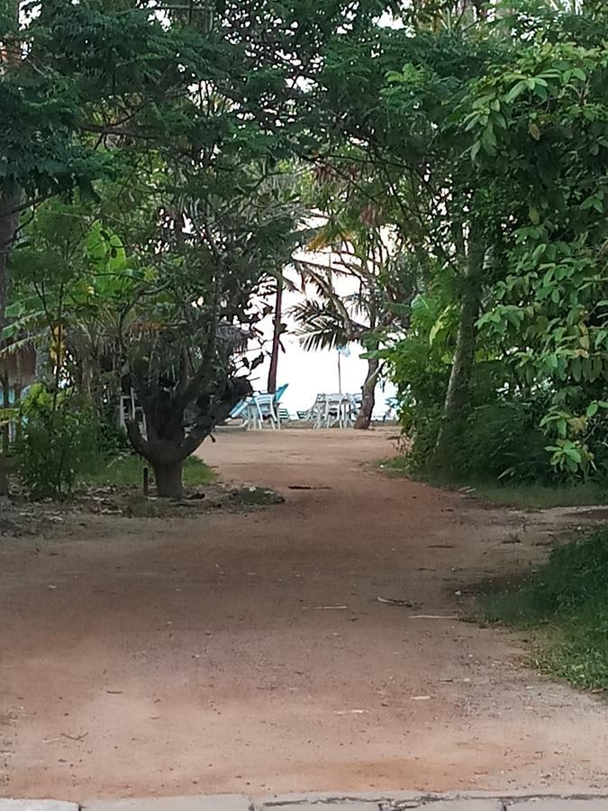 Dolphin Cottage מיריסה מראה חיצוני תמונה